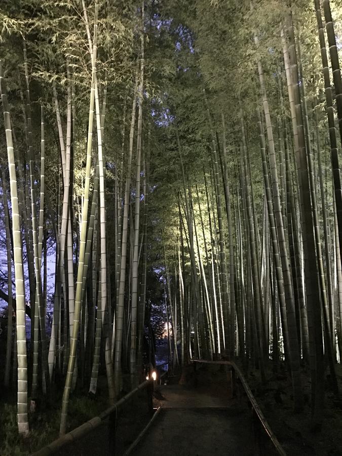 Sakuraya-Inn Osaka Zewnętrze zdjęcie